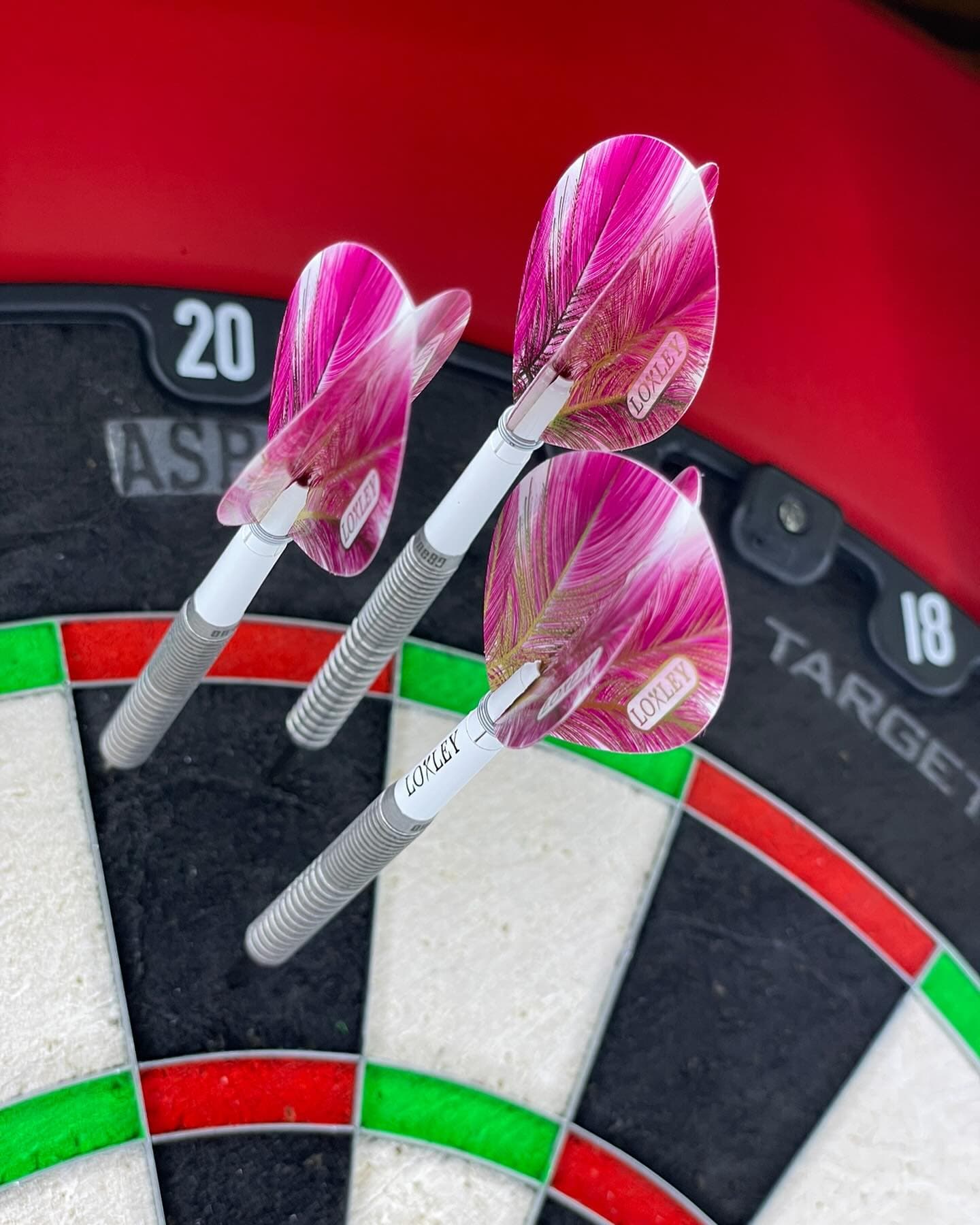 2 grappig met de nieuwe loxley, red dragon from dartshopper  #yesdartshopper 😂❤️✌️