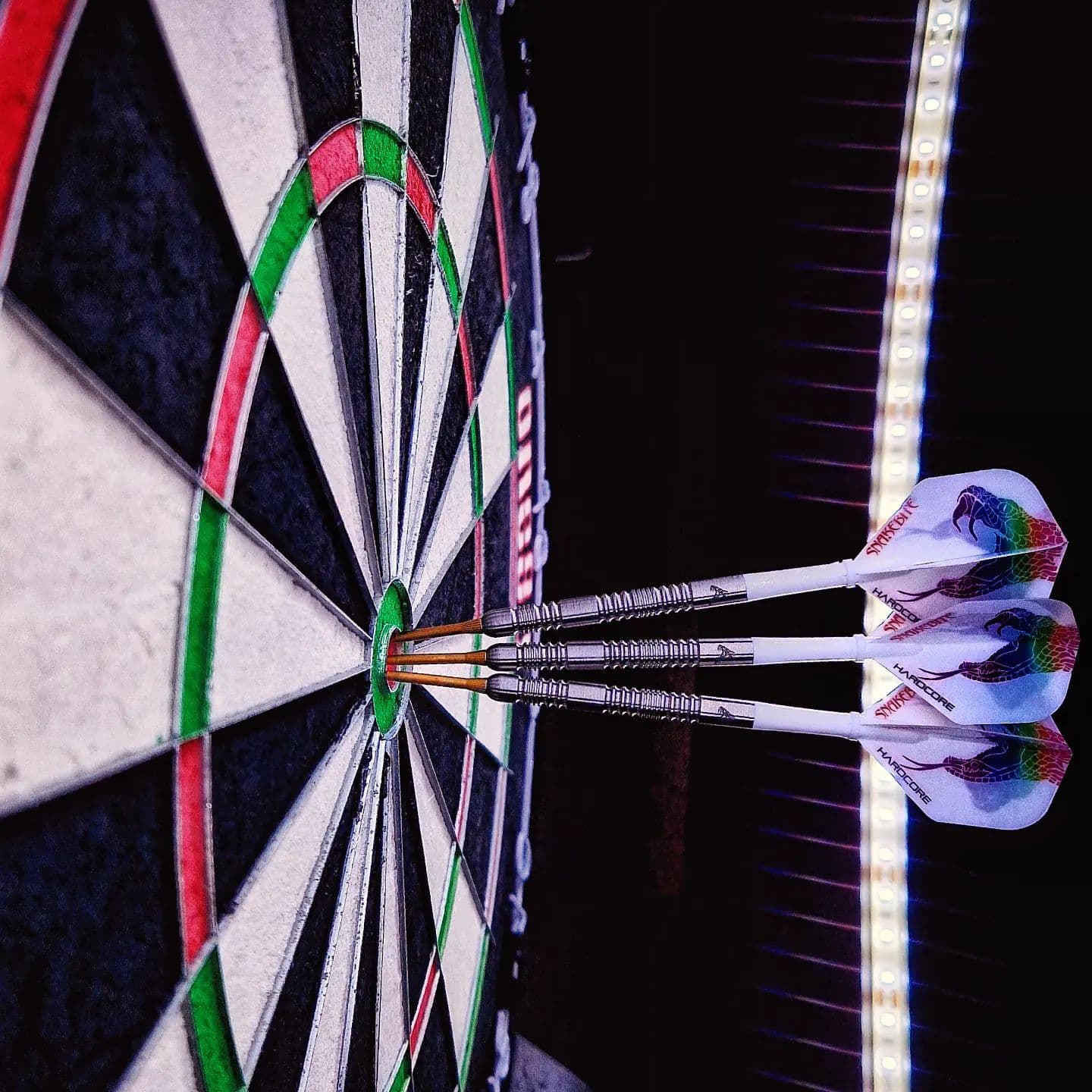 The Red Dragon reddragondarts Snakebite 11 darts,  hitting the bull of my Gladiator III+ board one80.benelux , fitted with the Red dragon gold gt points, and flight provided by laro short stems lstyleglobal  in combination with the Red Dragon signature snakebite flights. The light is provided by the #missiondarts Torus 270. Game On!

#Lovethedarts #dartpijlen #dartsofinstagram #onehundredeighty #dartsport #dartsphotography #dartpictures #dartshopper #reddragondarts #peterwright #missiondarts #lstyle #lstyleglobal #productphotography #dartporn #dartsport #darts #pdc #pdcworldchampionship #dartsbelgium #pdcdarts