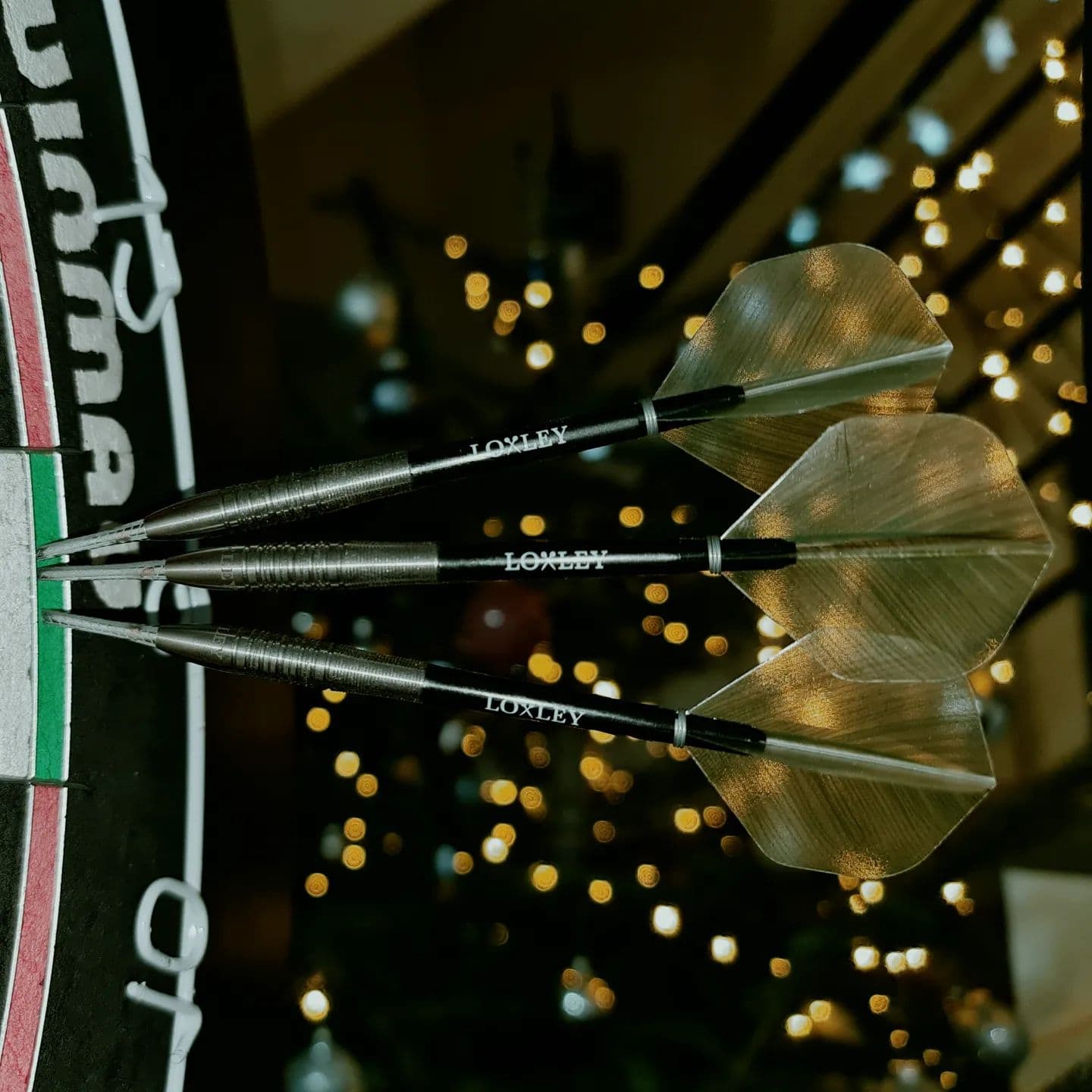 Loxley Bishop 23 g
#dartshopper
