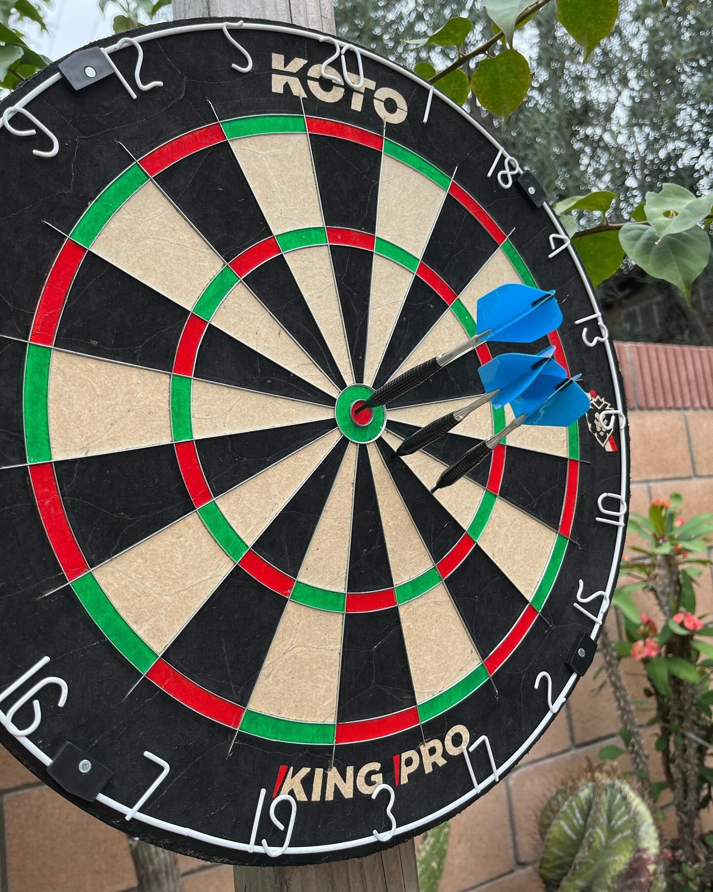 Todays daily bullseye on the new board from dartshopper and I couldn’t be more excited to break this board in. All work week I was thinking about getting getting it set up, now that the wait is over. 
Time for some games! 

Got the outdoor setup going on for now,