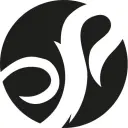 Shot Dartpile billede